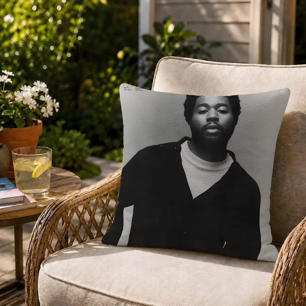 シンガー・ハリドのデザインのアメリカンティーンクッションカバ - Home Decor Locations のレビューと価格