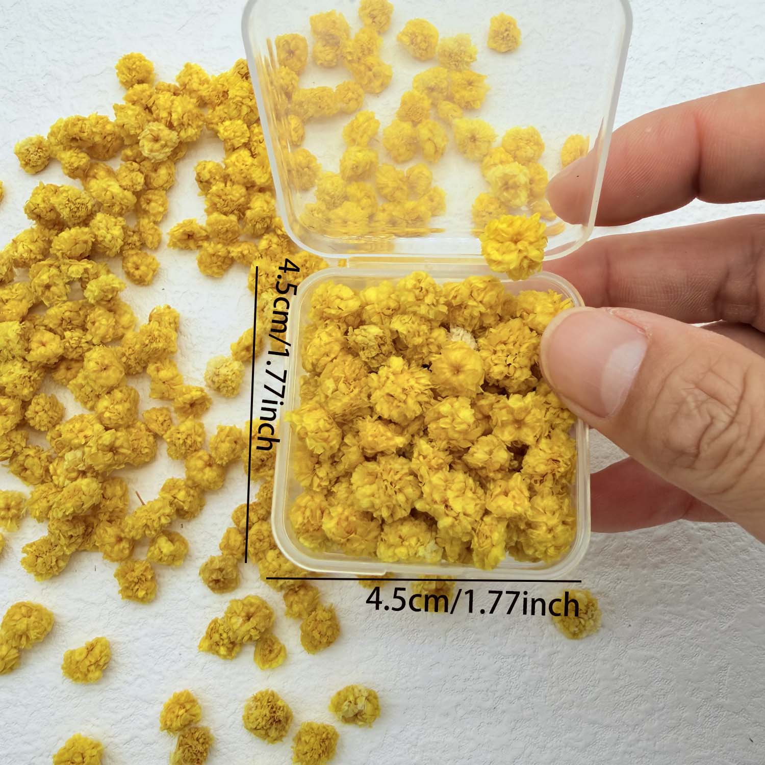 1箱 カラフルな花の頭部 ハンドメイドキャンドル DIY染色 - Home Decor Daisy のレビューと価格