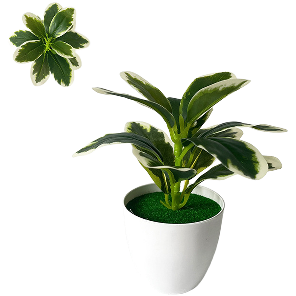 人工観葉植物、住宅やビジネス施設の卓上棚や机に置くためのデザ - Home Decor Locations のレビューと価格