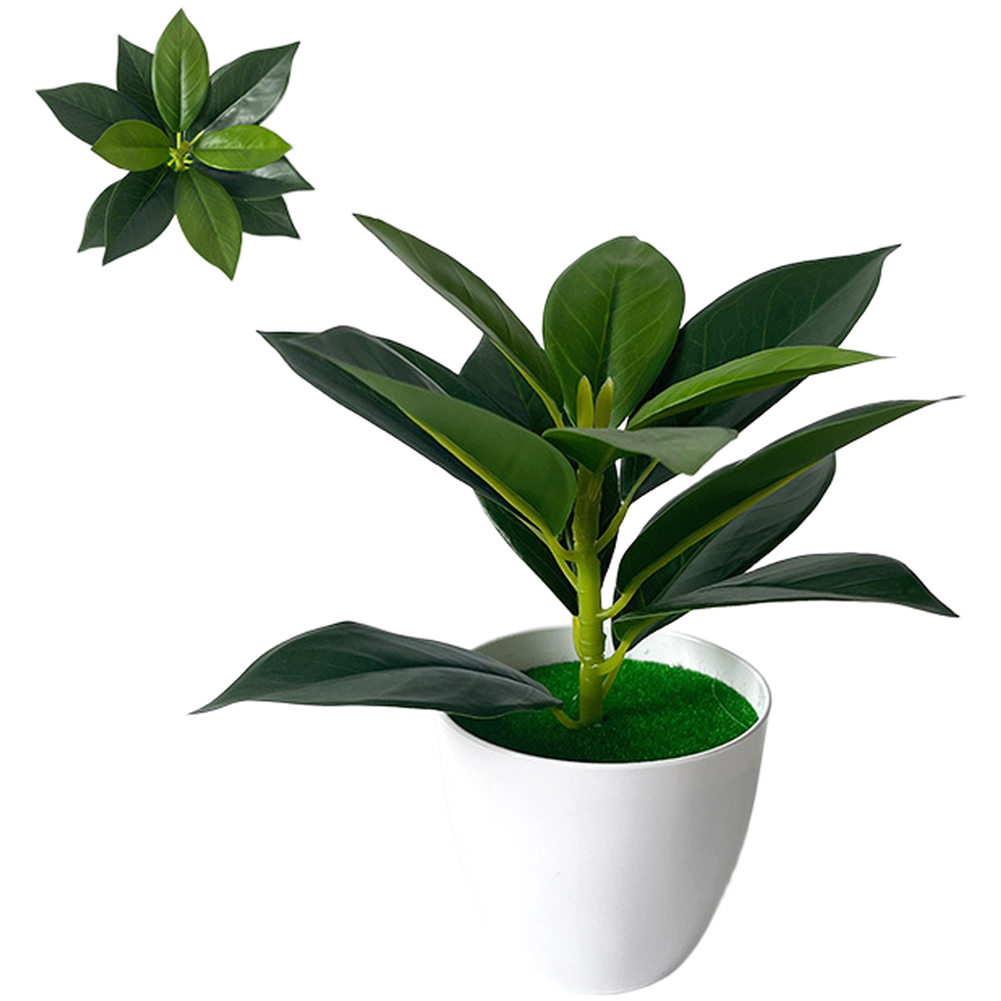 人工観葉植物、住宅やビジネス施設の卓上棚や机に置くためのデザ - Home Decor Locations のレビューと価格