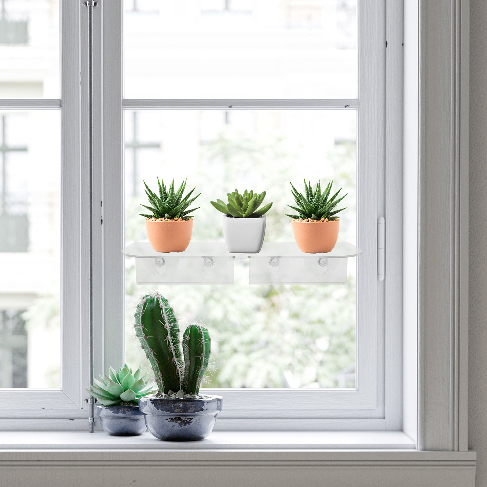 透明アクリル製の窓用プランターシェルフ。吸盤式で壁に取り付け - Floating Shelves のレビューと価格